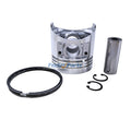 1 Cylinder Piston Kit SBA115017560 for New Holland Engine Tractor TC25 TC25D TC29 TC29D TC33 TC33D CASE D25 D29 D33 DX25 DX29 DX33