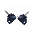 2Pcs Ignition Switch Key 09287000 09089700 for Ariens Gravely