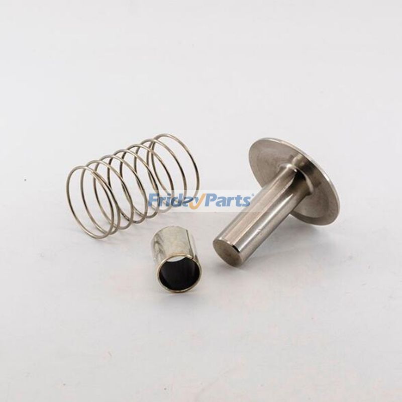 Air Compressor Parts Check Valve Kit Repair Kit 2906066000 for Atlas Copco