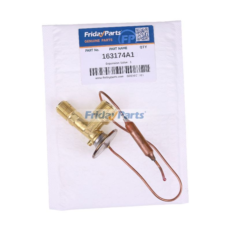 Expansion Valve 163174A1 for CASE Excavator 9060B 9020B 9050B 9030B 9040B 9010B 9045B