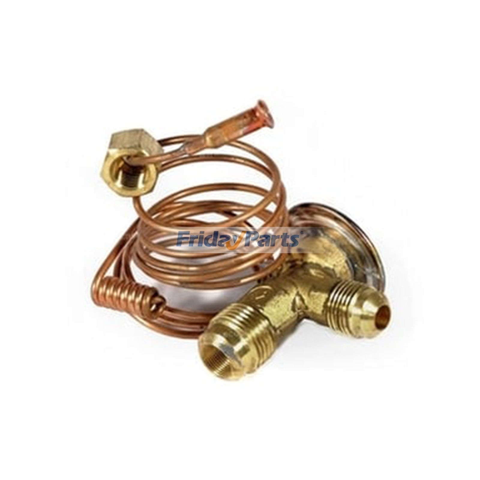 Expansion Valve F64389 for CASE Tractor 1270 1370 1490 1550 1570 1690 1896 2090 2870 3294 3394 4490 4494