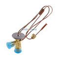 Expansion Valve 539064R1 66398C1 for CASE 1066 1466 1468 1566 1568 766 966 1086 1294 1394 1486 1494 1586 1594