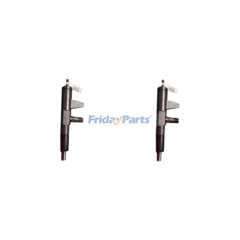 2 Pieces Fuel Injector 4175785 0432191706 04176037 for Deutz Engine F2L1011