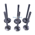 Intake Exhaust Valve SBA120166360 SBA120176250 for CASE Compact Tractor DX18E DX22E DX23 DX24 DX25E DX26