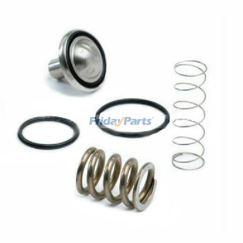 Minimum Pressure Valve Service Kit 2205-4905-95 for Atlas Copco Compressor