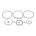 Motor Seal Kit 6660256 for Bobcat Skid Steer Loader 753 763 773 843 853 7753
