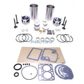 Overhaul Rebuild Kit for Carrier Engine CT2-29-TV CT2-29TV Transicold Supra 422
