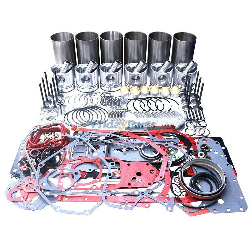 Overhaul Rebuild Kit for Iveco Engine F4BE06