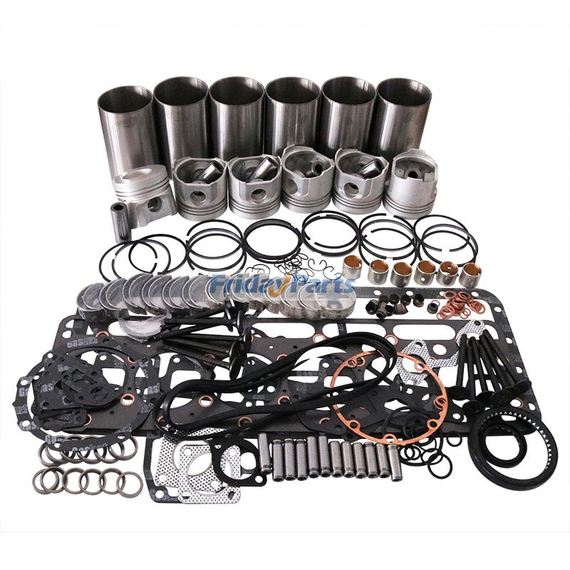 Overhaul Rebuild Kit 504208880 for Iveco Engine F4HFE613S A003