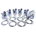 Piston Kit 5801381290 for Iveco Engine F5HFL413 F5HFL463 F5DFL463 F5HGL463 CASE Loader SR210 SR240 SR250 SV280 SV250 TR270 TR310 TV370