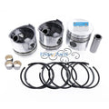 Piston Kit with Ring for Kubota Engine D1463