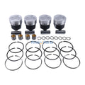 Piston Kit with Ring for Kubota Engine V2203 Bobcat 753C 763 773 S130 S150 S160 S185 331 334 341 5600 S175 S530 T190 T140