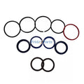 Hydraulic Cylinder Seal Kit 85805990 for CASE Loader 570NXT 570MXT