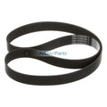 Serpentine Fan Belt 87282305 for Mack Truck LE Anthem Granite TerraPro Case-IH Combine 8010 8120 Motor-Coach-Industries Bus 102D3