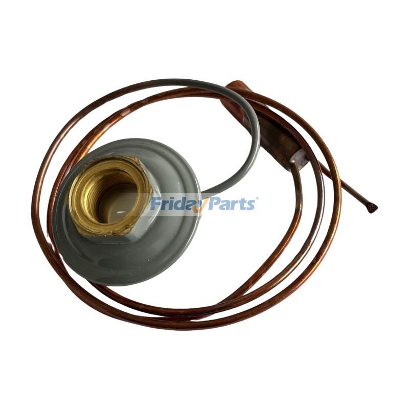 Thermostatic Expansion Valve 14-00212-21 for Carrier Refrigeration Unit 69NT40