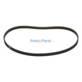 V-Belt 48046989 for CASE Loader C234 C238 C245 C327 C334 C337 L230 L234 L315 L316 L318 L320 L321 L330 L334 SR270 SR270B