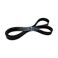 V Ribbed Belt 3807293 for Cummins Engine B3.3 QSK19G Alfa Romeo BMW Fiat Toyota Lancia Mitsubishi Smart Vehicle