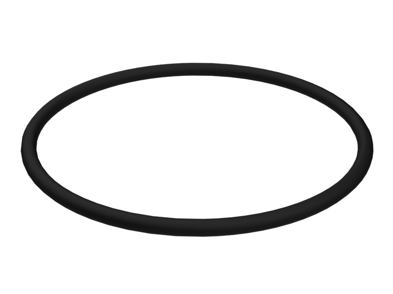 004-1963 55 mm ID O-Ring