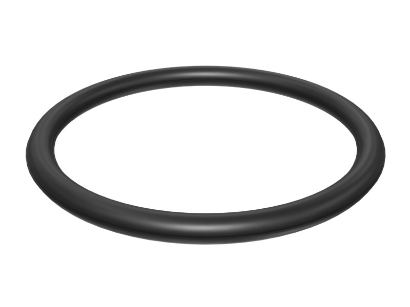 030-4605 21.95 mm ID O-Ring