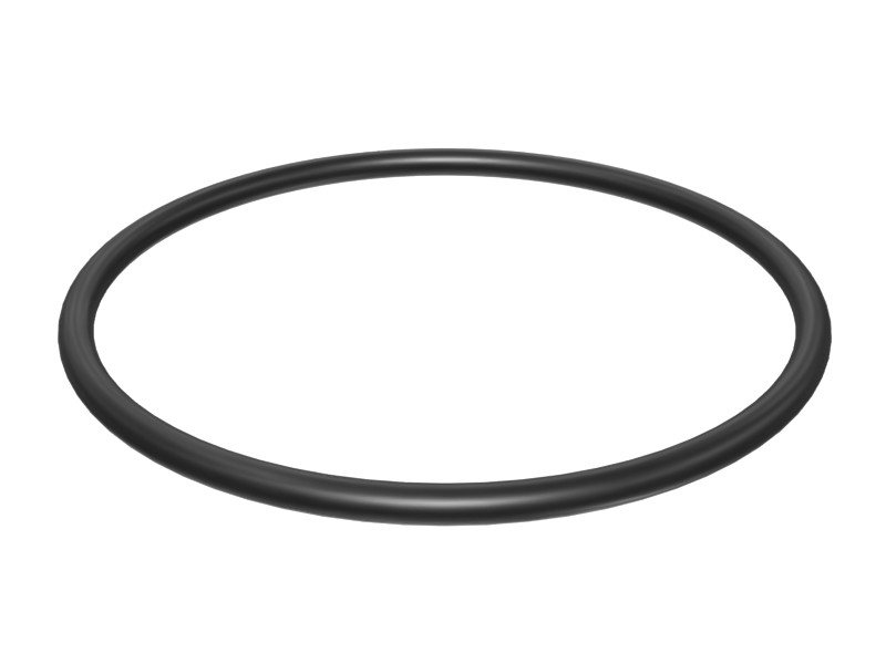 095-1631 119.60 mm ID O-Ring
