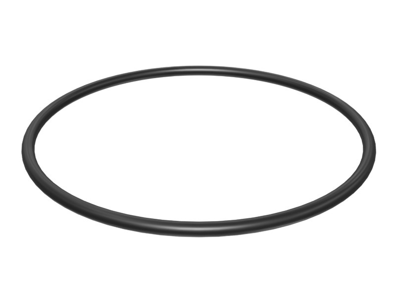 095-1725 154.3 mm ID O-Ring