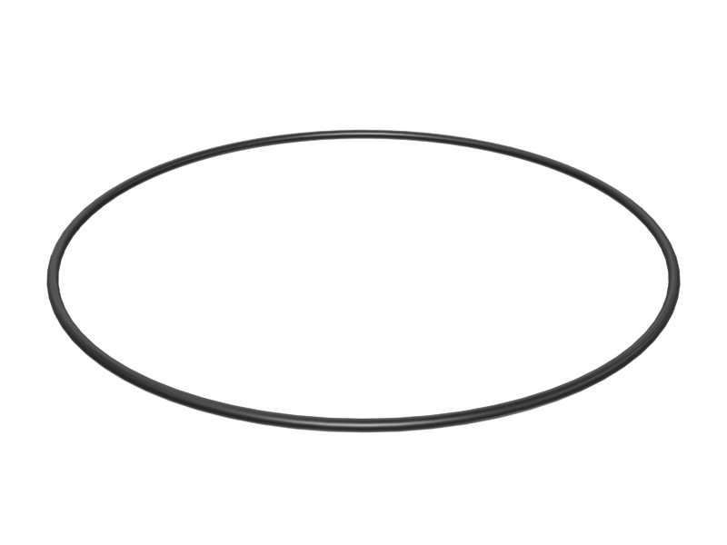 095-7383 174 mm ID O-Ring