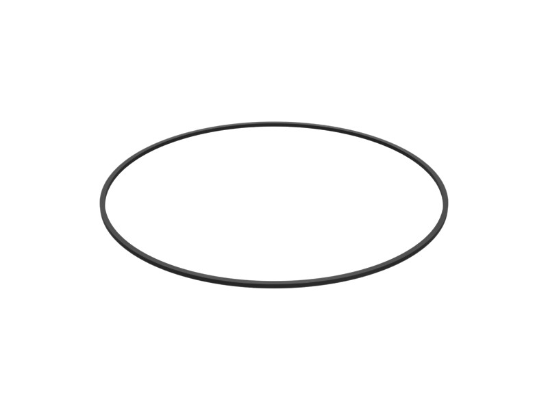 095-7387 161.25 mm ID Support Ring
