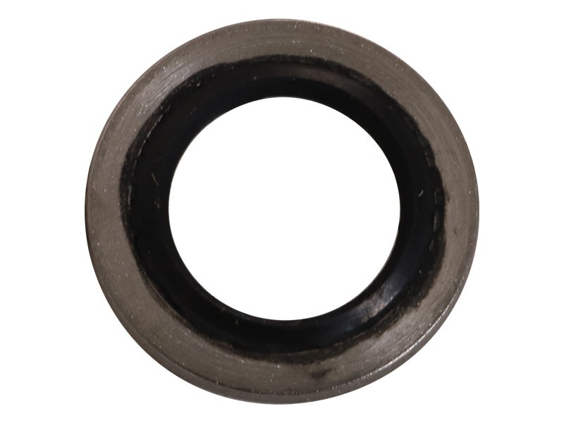 096-4498 Sealing Washer