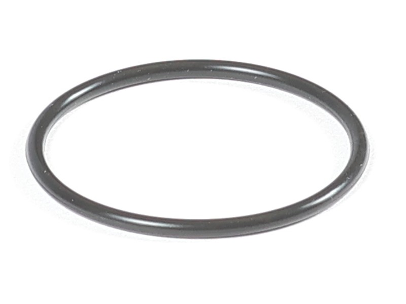 118-3816 Fuel Injection Pump O-Ring