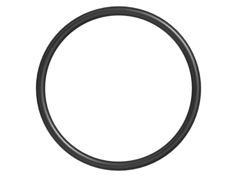137-3623 55.6 mm ID O-Ring - image 3
