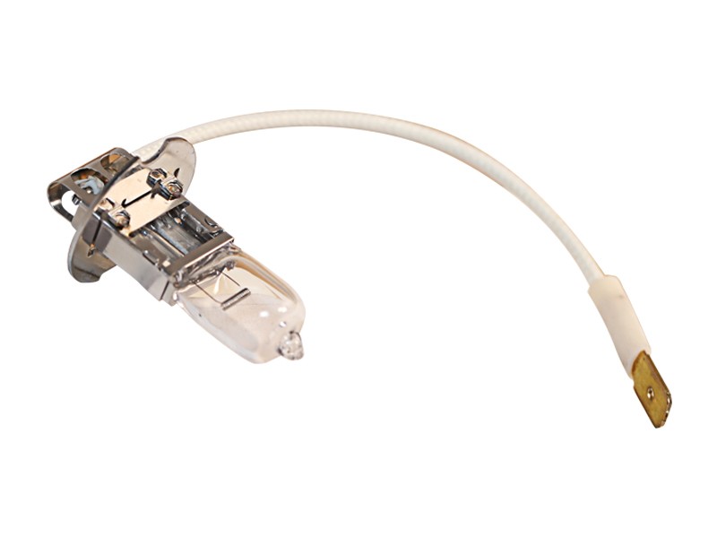 142-9572 12 V Floodlight Bulb