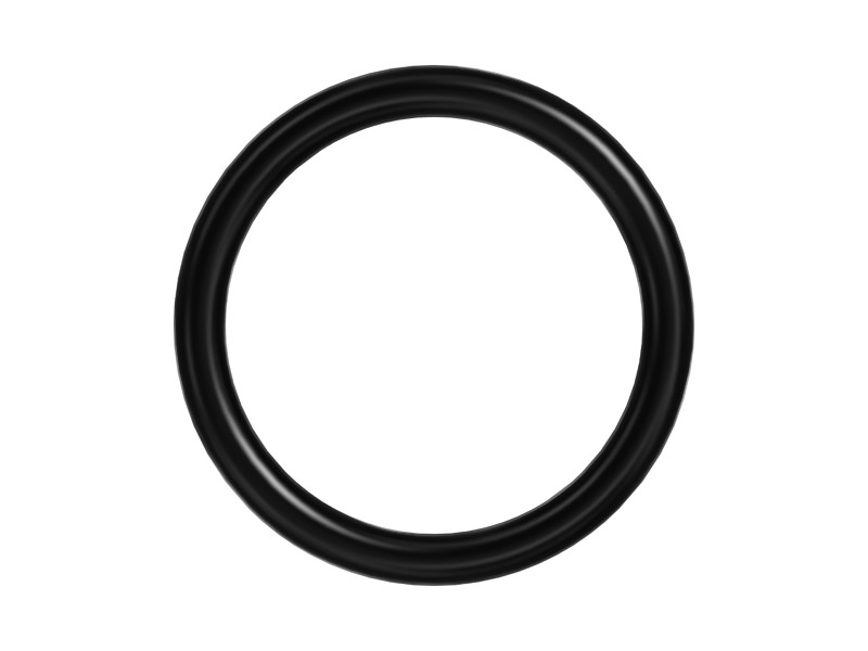 162-2166 Toric Seal - image 3
