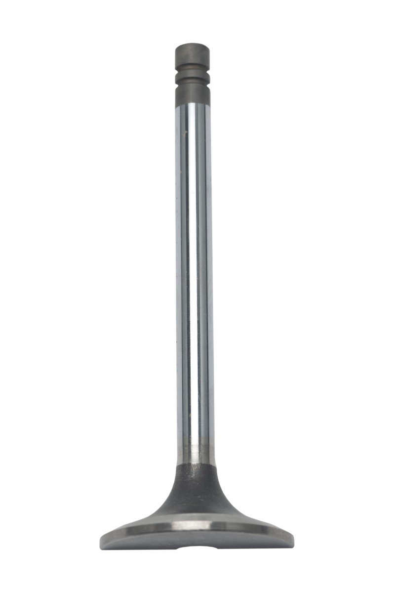 163-2432 Cylinder Head Exhaust Valve