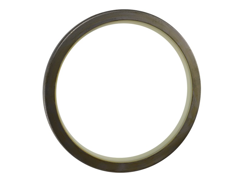 166-1497 109.85 mm ID Pin Seal