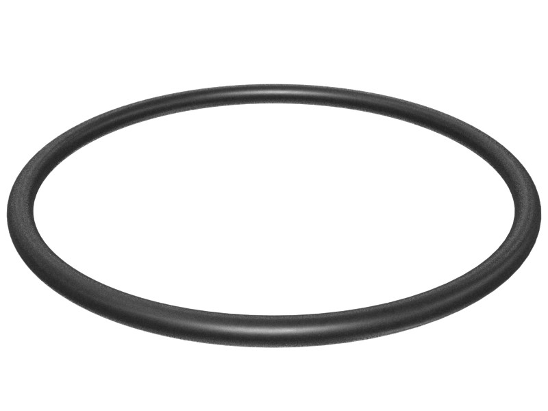 167-4407 69.44 mm ID O-Ring