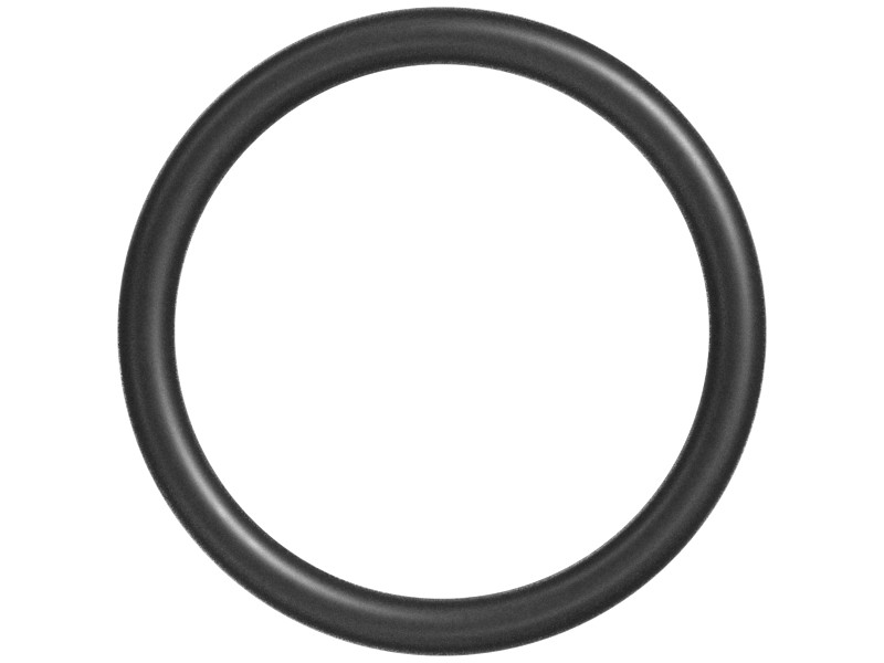 171-4358 50.17 mm ID O-Ring - image 3