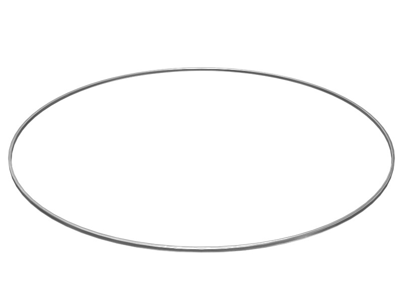 1S-9498 238.89 mm ID Seal Ring
