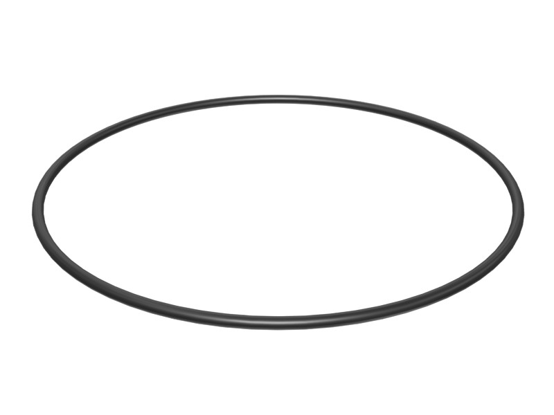 1W-0118 304.2 mm ID O-Ring