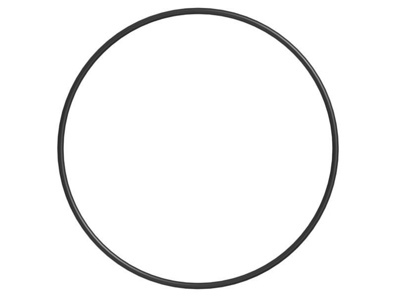 1W-0118 304.2 mm ID O-Ring - image 3