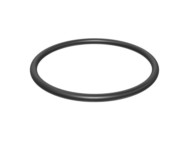 200-8129 Water Pump O-Ring
