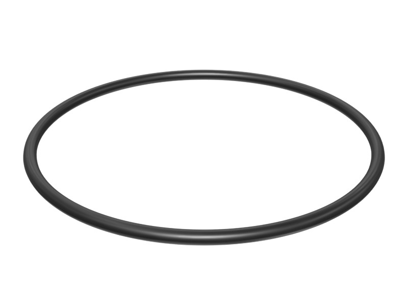 201-9701 189.87 mm ID O-Ring