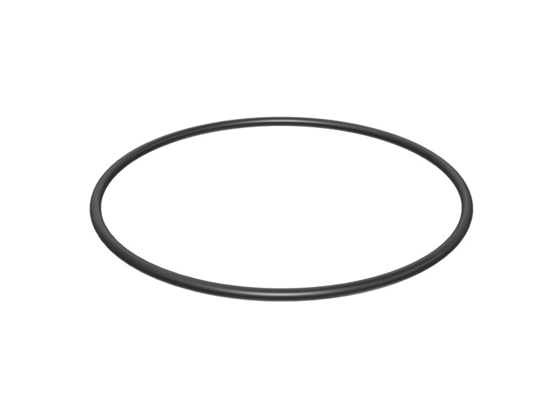 205-9024 Toric Seal