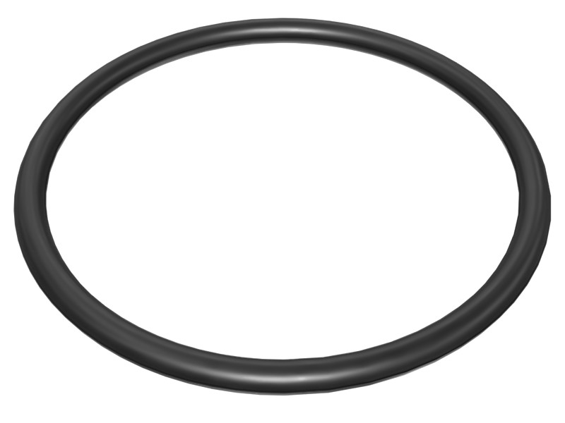 205-9169 66.4 mm ID Fuel System Seal