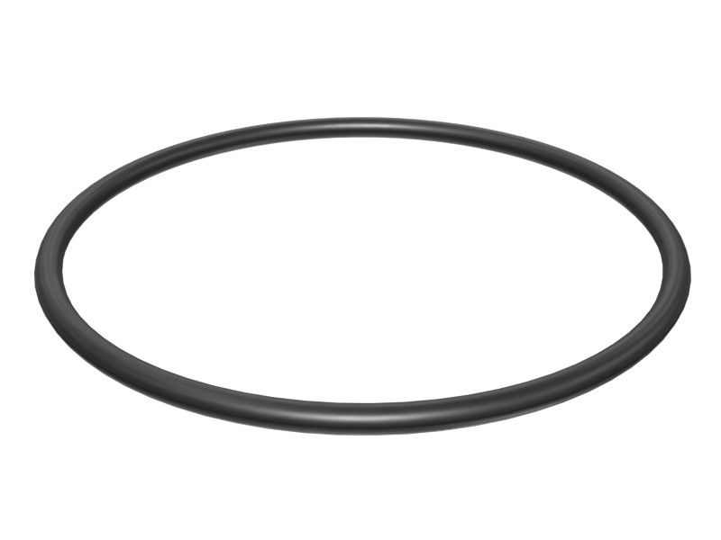 206-9300 74.4 mm ID O-Ring