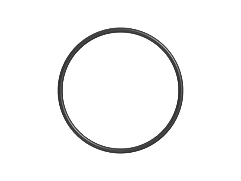 206-9300 74.4 mm ID O-Ring - image 3