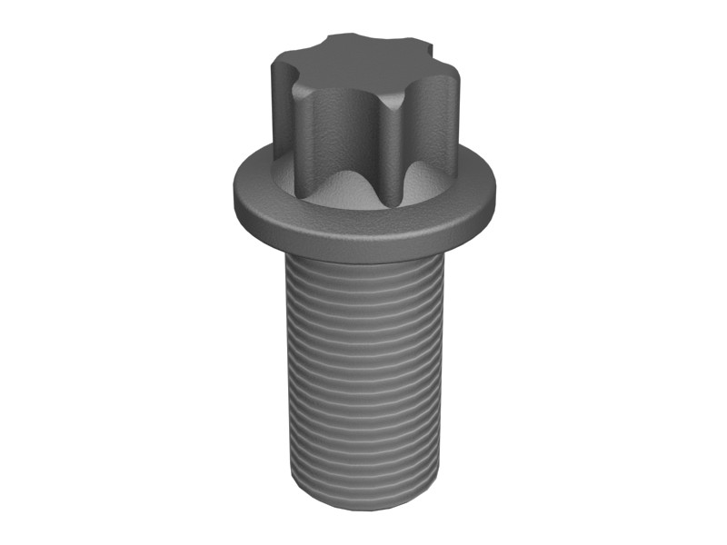 209-9219 Flange Head Bolt