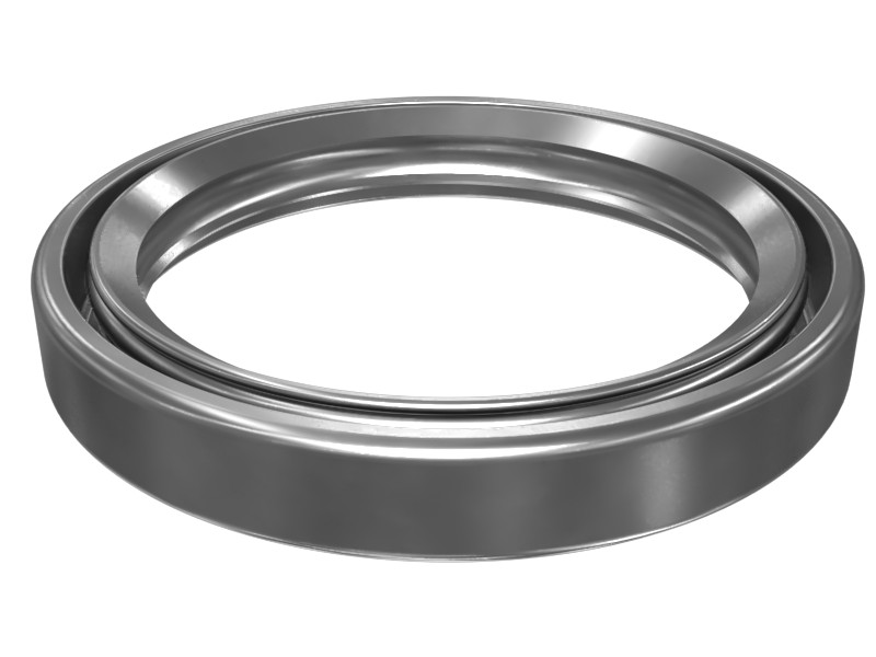 210-3098 50 mm OD Lip Seal