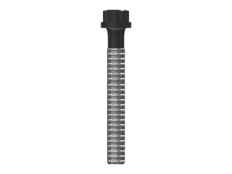 213-3217 M11X1.25 Thread 84 mm Long Bolt - image 2