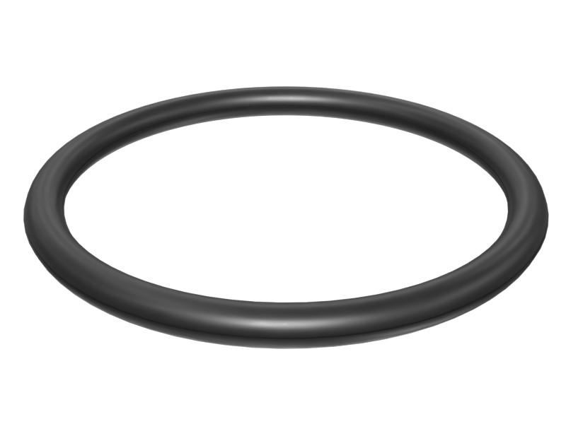 248-7172 43.4 mm ID O-Ring