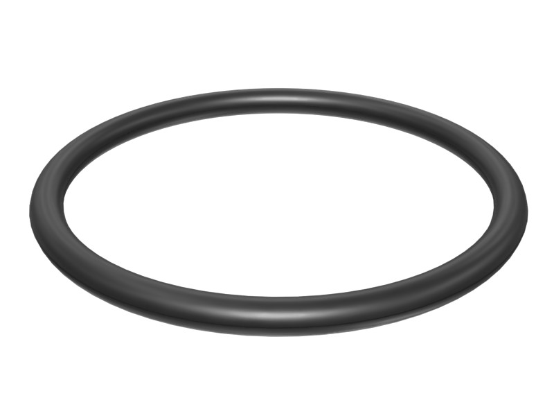248-7177 79 mm ID O-Ring